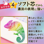 色鉛筆 50色 マカロンカラー ソフト芯 濃淡表現