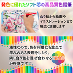 色鉛筆 50色 メタリックカラー 特徴紹介 使用イメージ