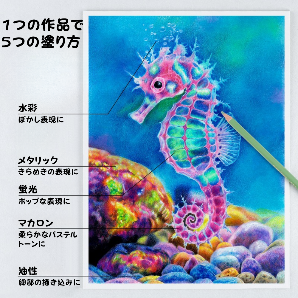 色鉛筆 60色 油性＆水彩 使用イメージ イラスト たつのおとしご